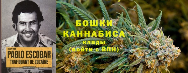 MDMA Снежногорск