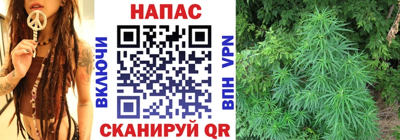 Бошки марихуана план  omg ссылки  Свирск 